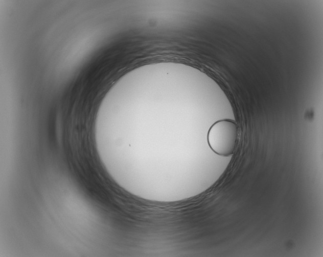 X0000112800572200908211006