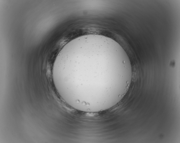 X0000112800573200908211006