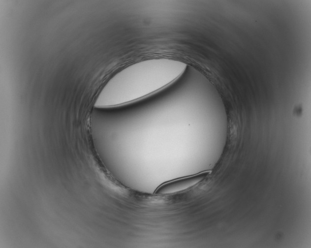 X0000112800574200908211006