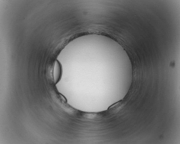 X0000112800575200908211006