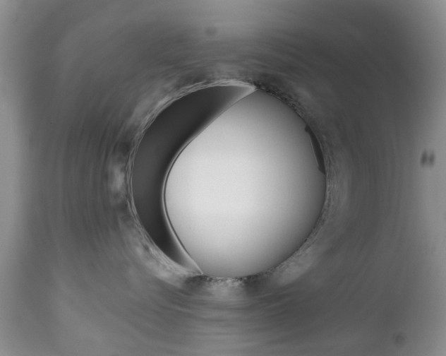 X0000112800576200908211006