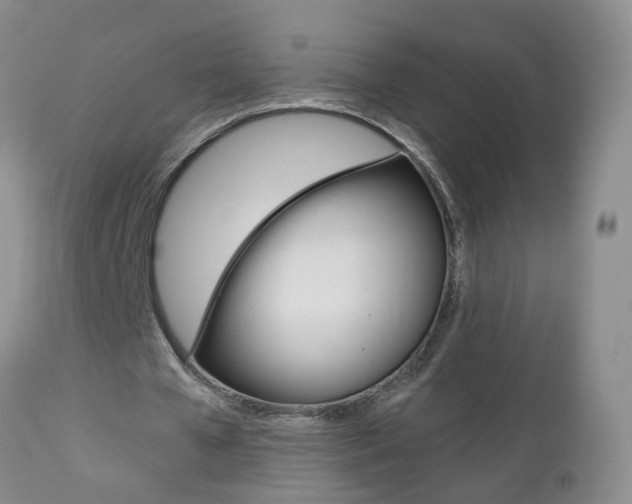 X0000112800577200908211005