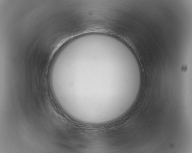 X0000112800579200908211005