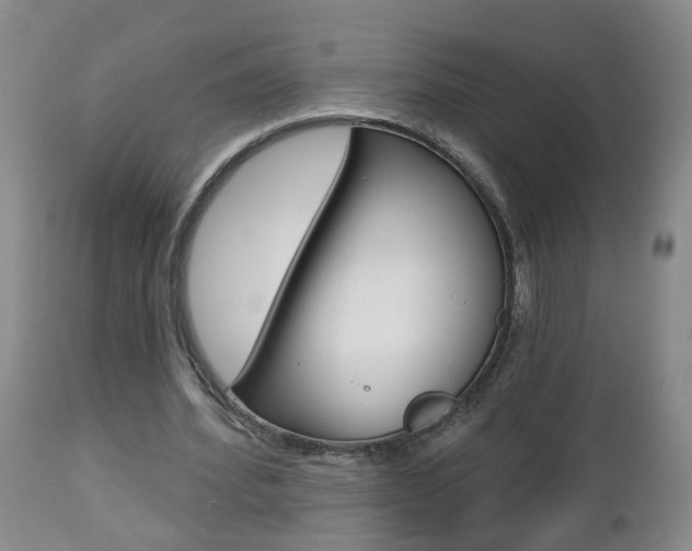 X0000112800580200908211005
