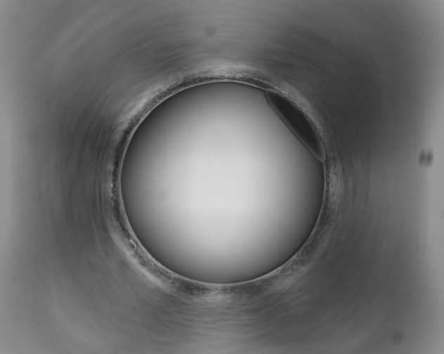X0000112800581200908211005