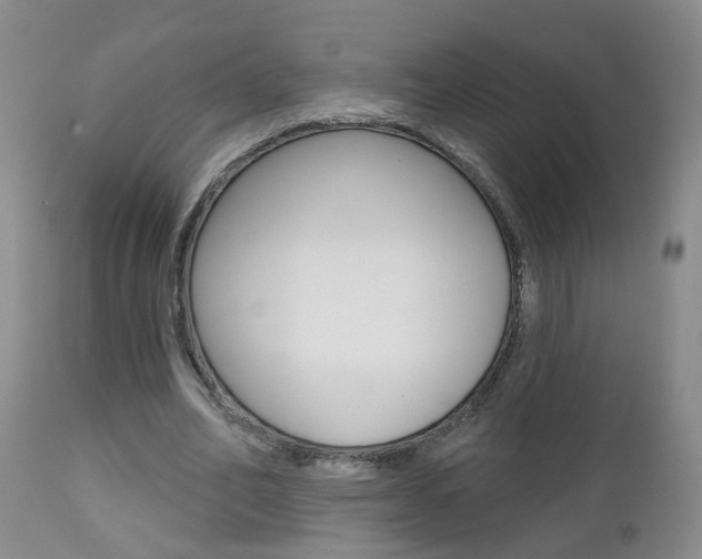 X0000112800582200908211005