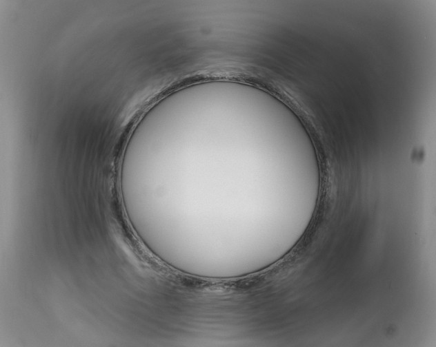 X0000112800586200908211005