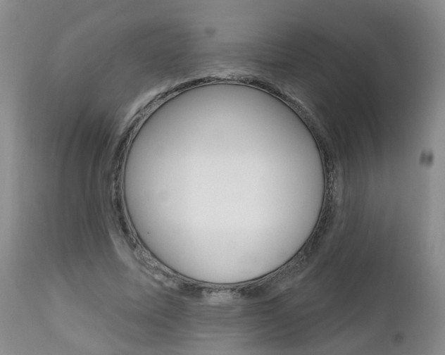 X0000112800587200908211005