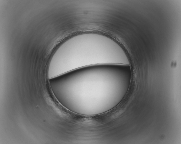 X0000112800589200908211005