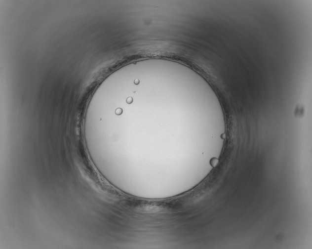 X0000112800590200908211005
