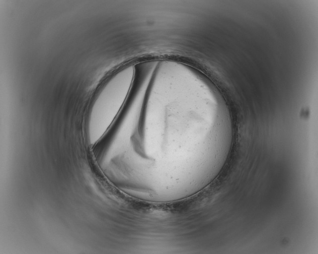 X0000112800592200908211005