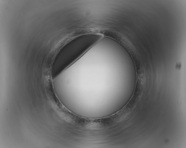 X0000112800593200908211005