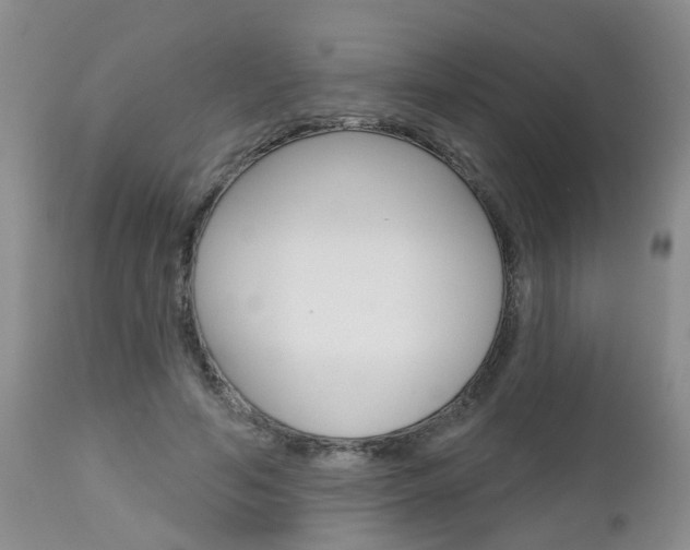 X0000112800594200908211005