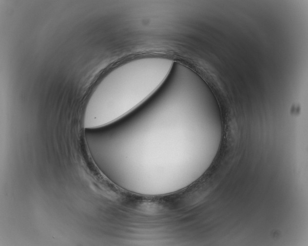 X0000112800596200908211005
