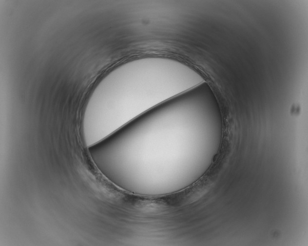X0000112800597200908211005