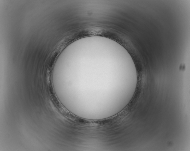 X0000112800598200908211005