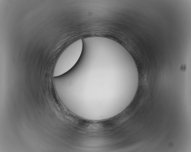 X0000112800599200908211005