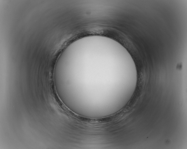X0000112800600200908211005