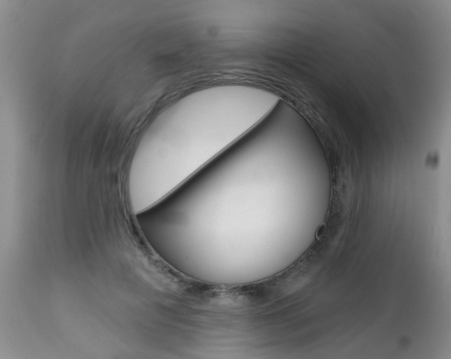 X0000112800601200908211005