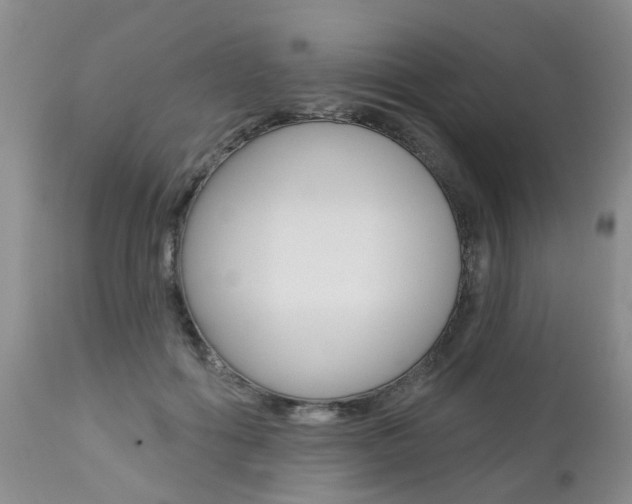 X0000112800602200908211005