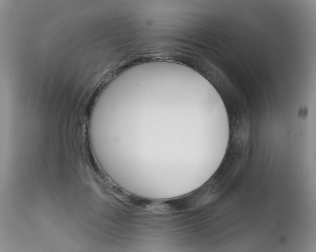 X0000112800603200908211005