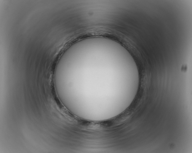 X0000112800604200908211005