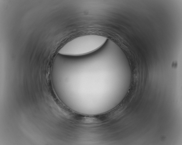 X0000112800605200908211005