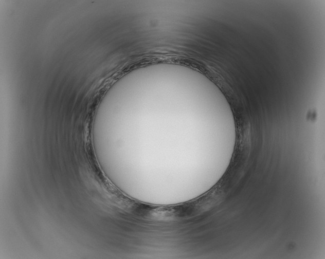 X0000112800606200908211005