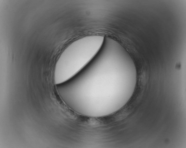 X0000112800608200908211004