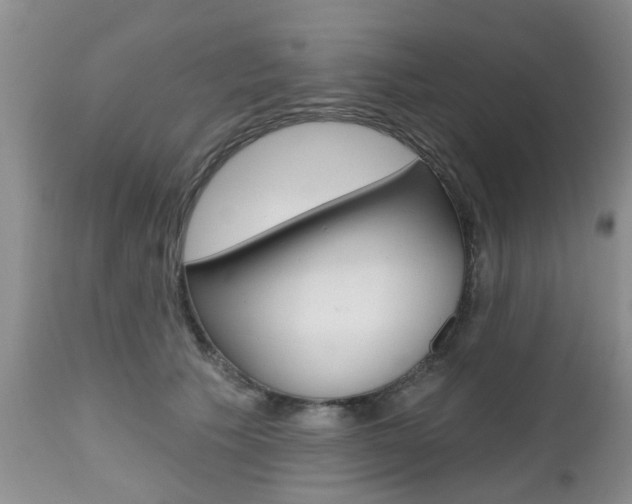 X0000112800609200908211004
