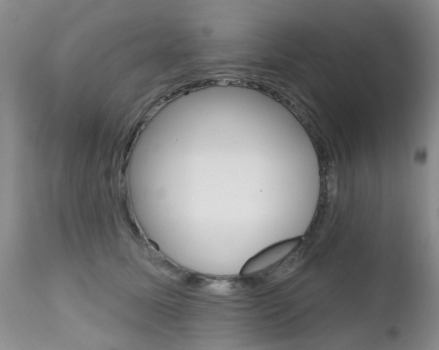 X0000112800611200908211004