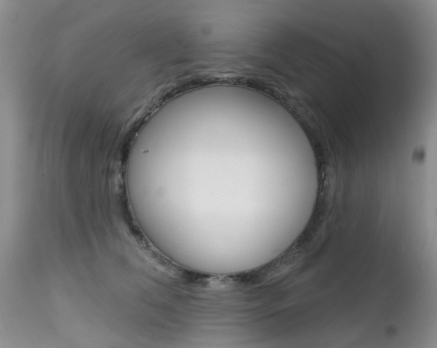 X0000112800612200908211004