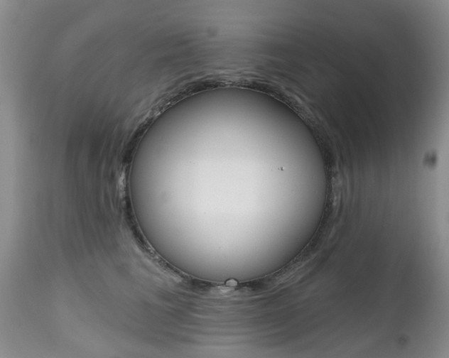 X0000112800613200908211004