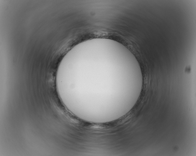 X0000112800614200908211004