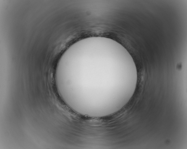 X0000112800615200908211004