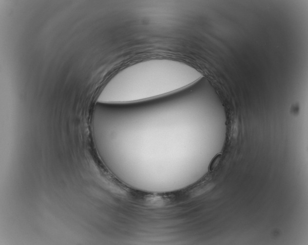 X0000112800616200908211004