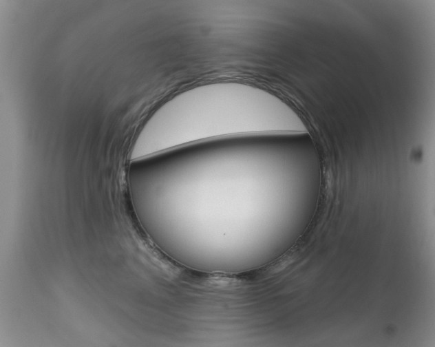 X0000112800617200908211004