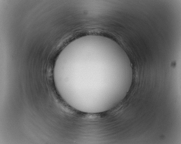 X0000112800619200908211004