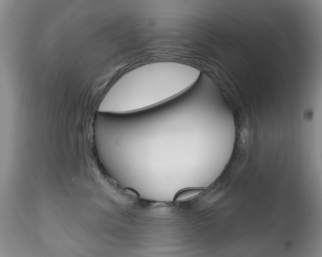 X0000112800620200908211004