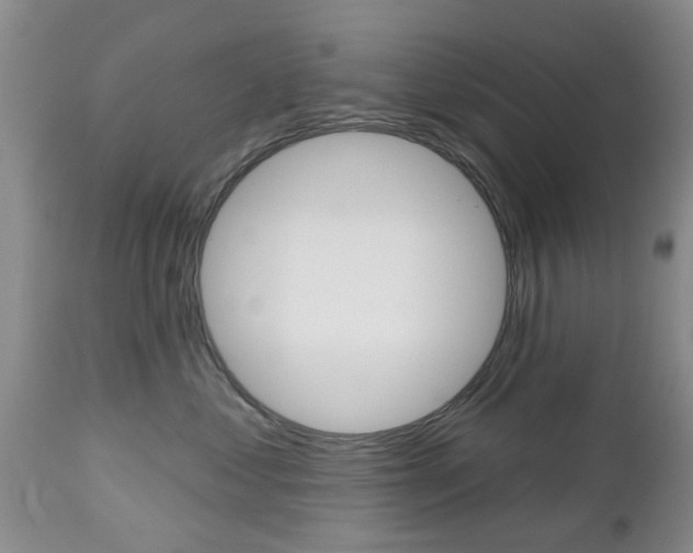 X0000112800621200908211004