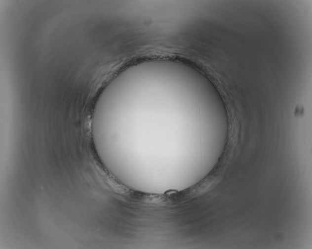 X0000112800624200908211004
