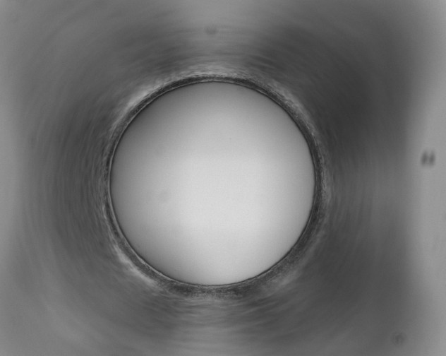 X0000112800625200908211003