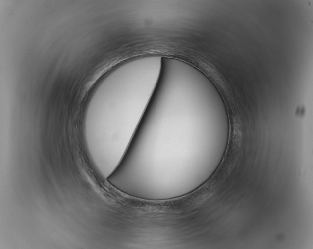 X0000112800626200908211003