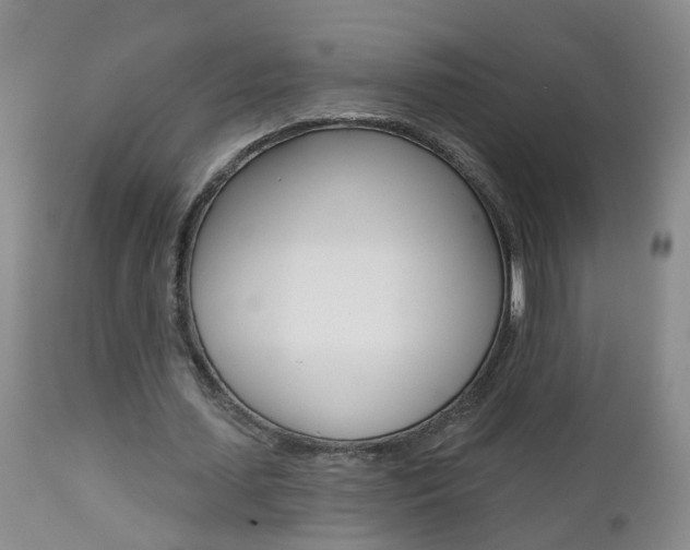 X0000112800627200908211003