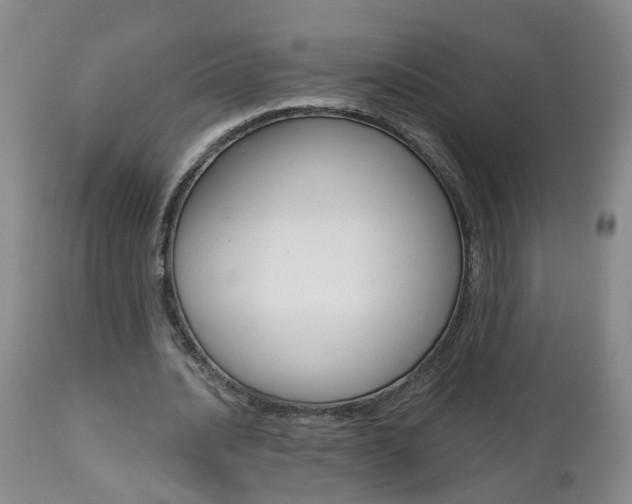 X0000112800628200908211003