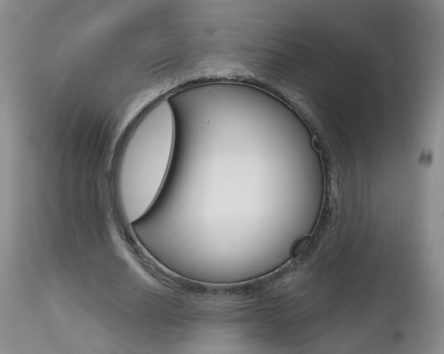 X0000112800630200908211003