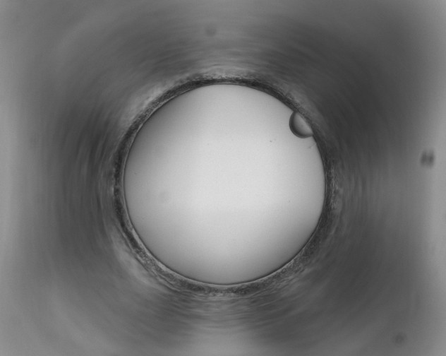 X0000112800631200908211004