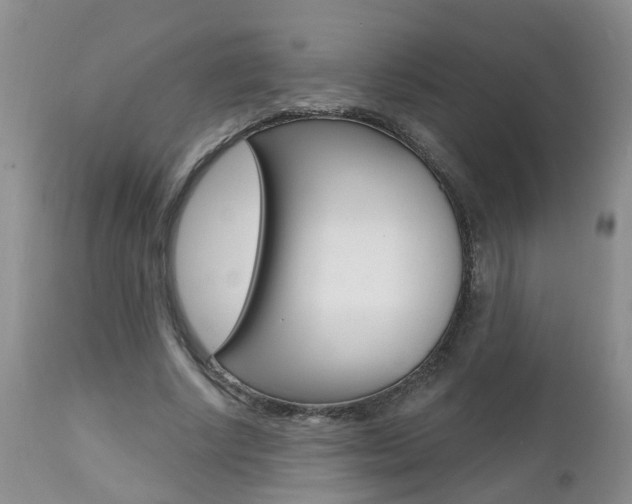 X0000112800634200908211004