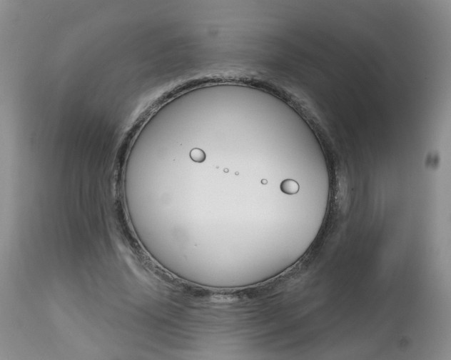 X0000112800636200908211004