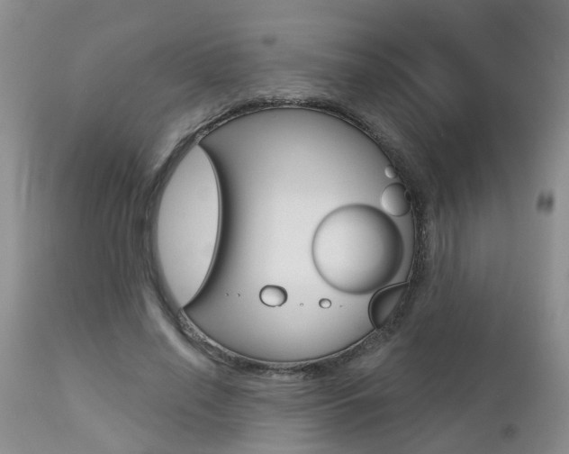 X0000112800638200908211004